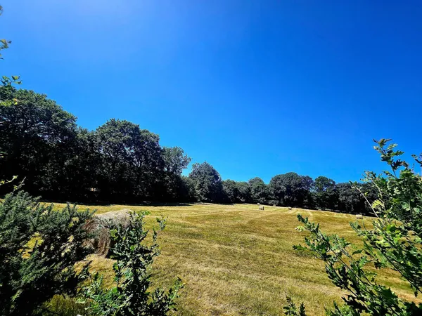 8,93 hectares de nature préservée avec ruisseau .