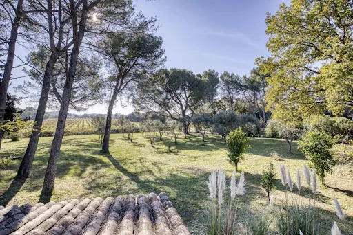 Maison 15 pièces 371 m²