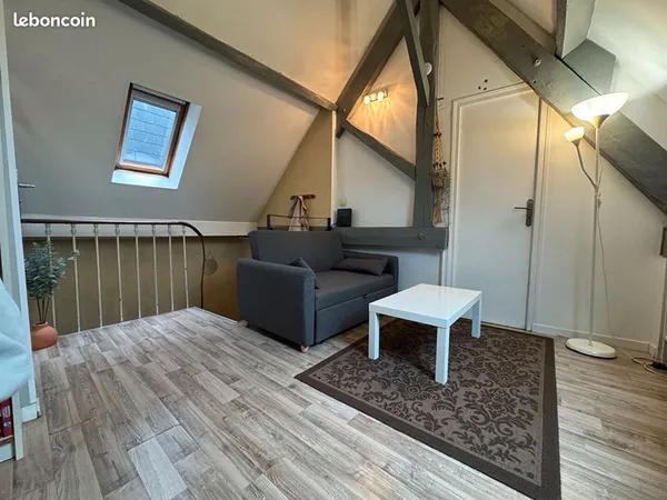 Appartement 3 pièces 41 m²