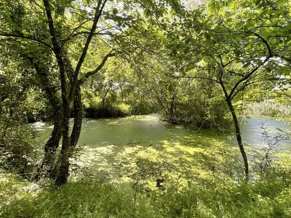 Terrain 8029 m²