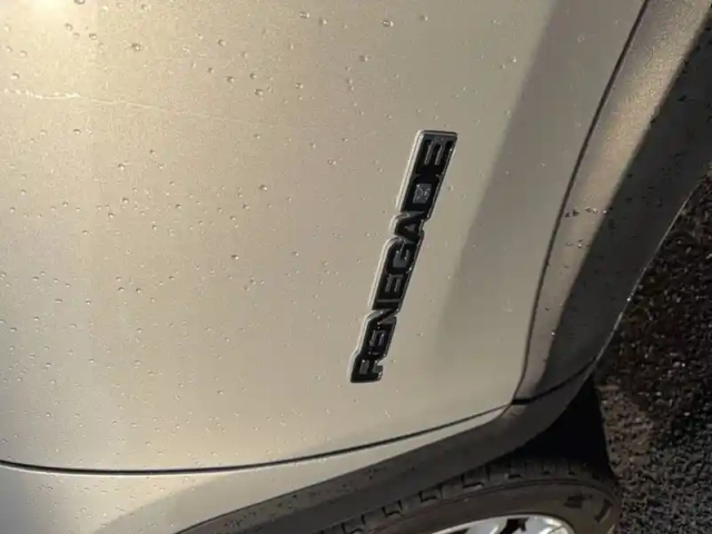 Jeep Renegade 1.6 l multijet 120 ch bvr6 — photo 41