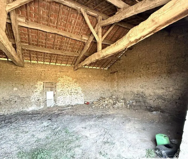 Photo 5