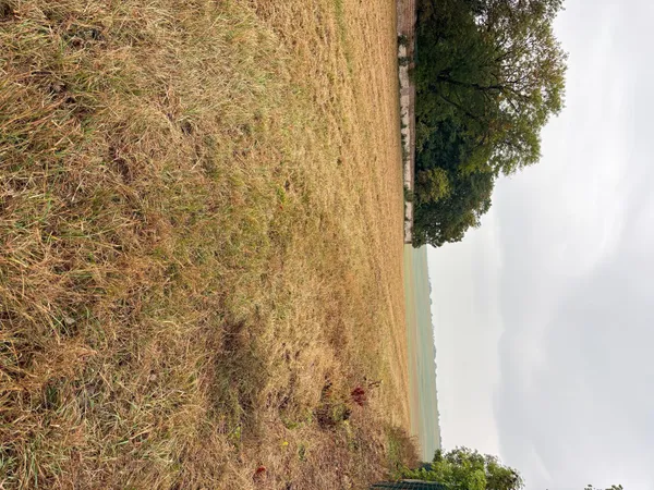 Terrain à bâtir