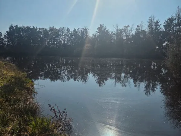 Plan d'eau Vente Sassay 7800m² 40000€