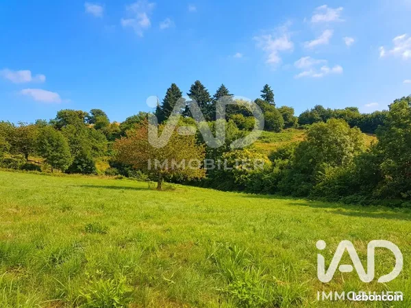 Terrain 2800 m² Beaumont