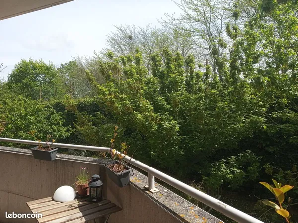 Location T2 meublé Pech David