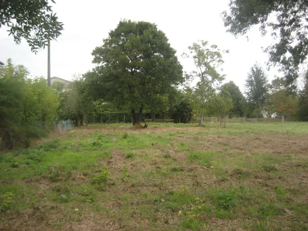 Terrain à Bâtir