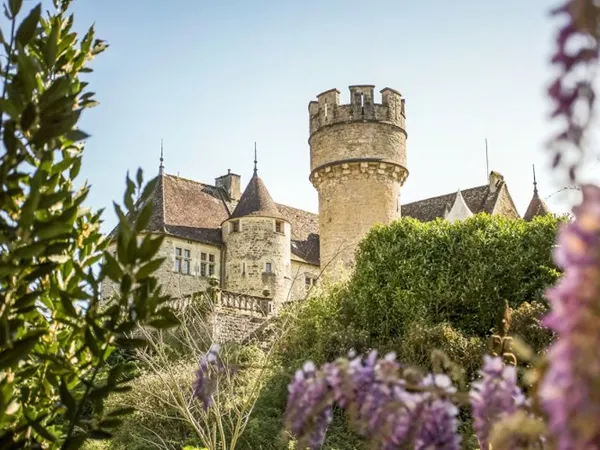 CHÂTEAU AVEC PARC ET ÉTANG DANS LE JURA VITICOLE