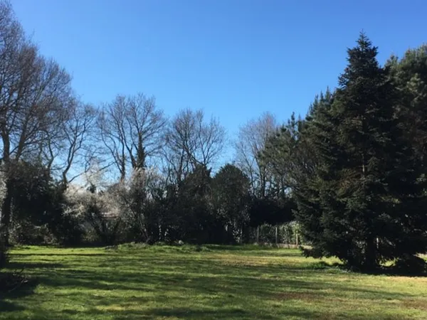 TERRAIN À COMMEQUIERS