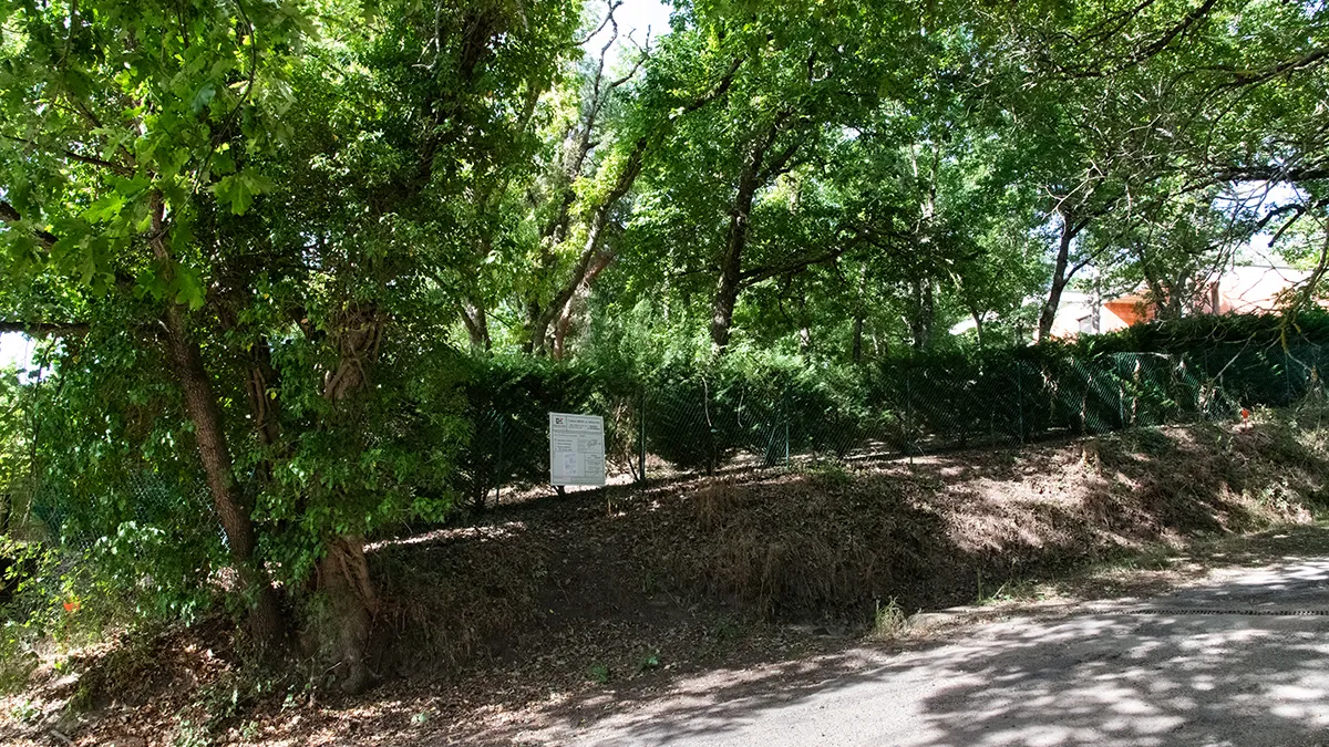 Photo 4