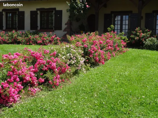 Villa plein pieds sur demi sous sol