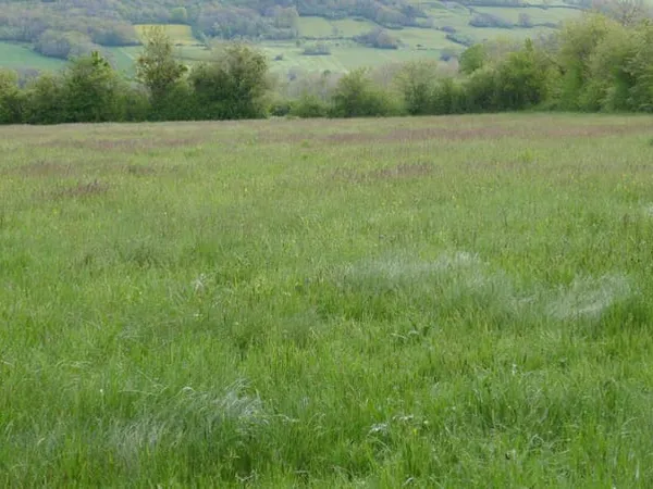 Terrain 23420 m²