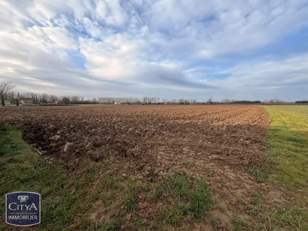 Bien agricole et foncier Vente Montastruc   100000€