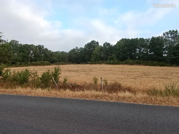 Terrain agricole