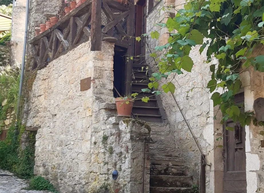 Photo 49
