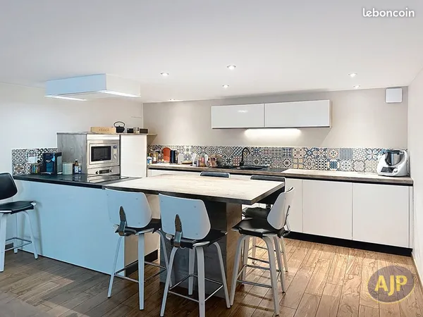 Maison 8 pièces 262 m²