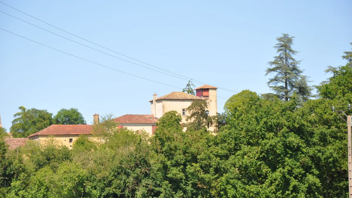 Photo 4