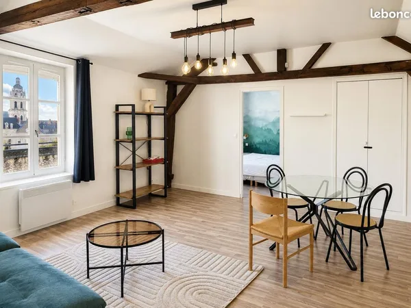 T2 meublé 52 m² avec vue sur la cathédrale - Centre-ville de Blois