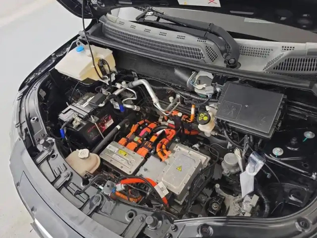 Dacia Spring achat intégral — photo 397