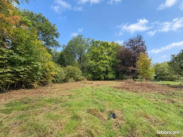 Terrain 1 237 m² Bois Le Roi