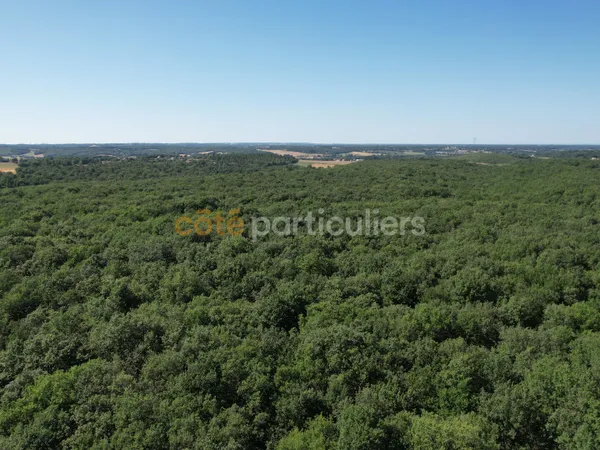 Propriété Forestière aux portes de Toulouse 68 ha