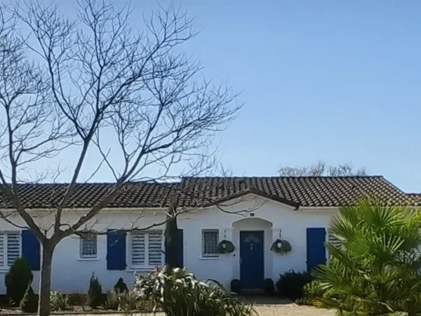 Immaculate South-Facing 3-Bedroom