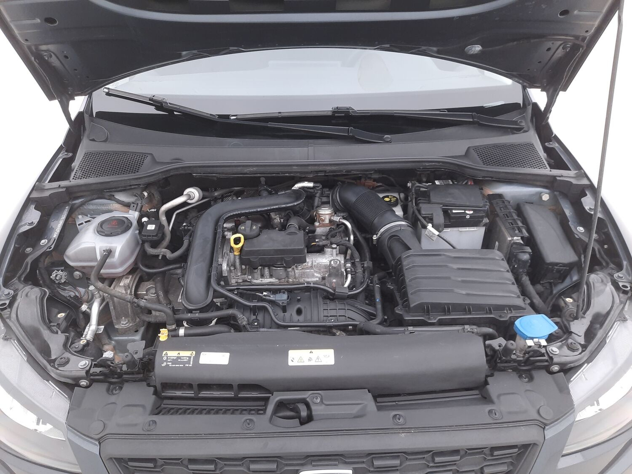 Seat Ibiza — photo 18