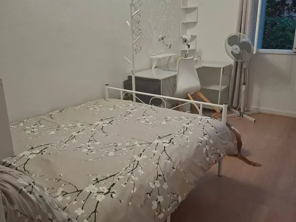 Jolie chambre meublée chez l'habitante lyon 5