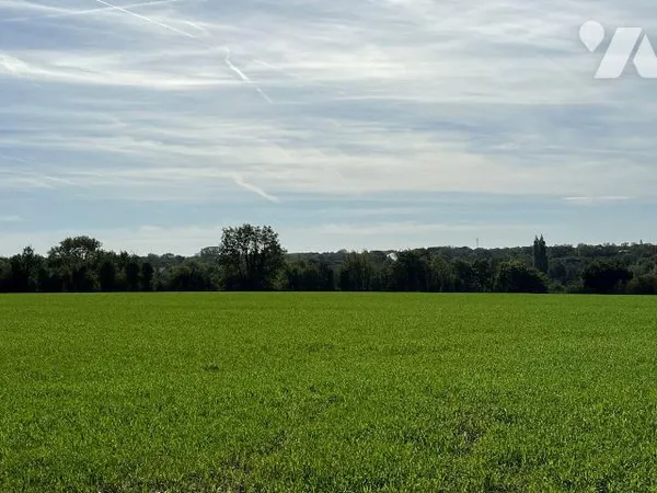 Terrain 40000 m²