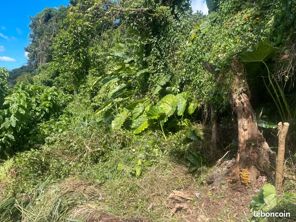 Terrain constructible 1300 m²
