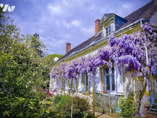 Maison 10 pièces 249 m²