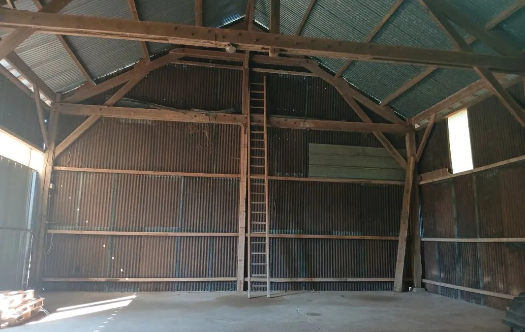 Photo 3