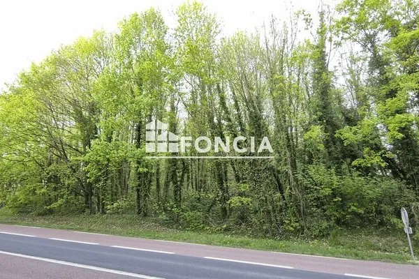 Terrain 7049 m²