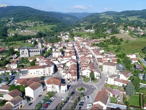 Murs commerciaux 161 m² RENAISON