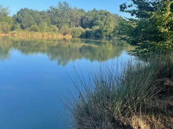 Plan d'eau Vente Queaux 15000m² 68000€