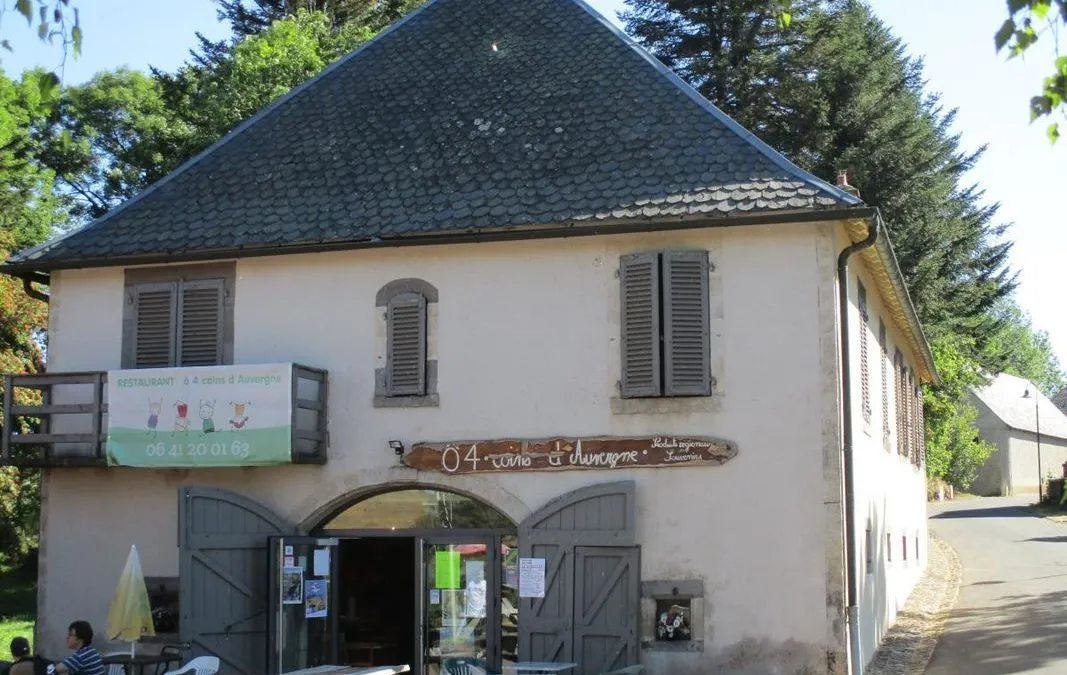 Photo 5
