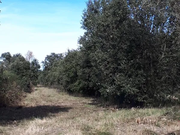 Terrain agricole