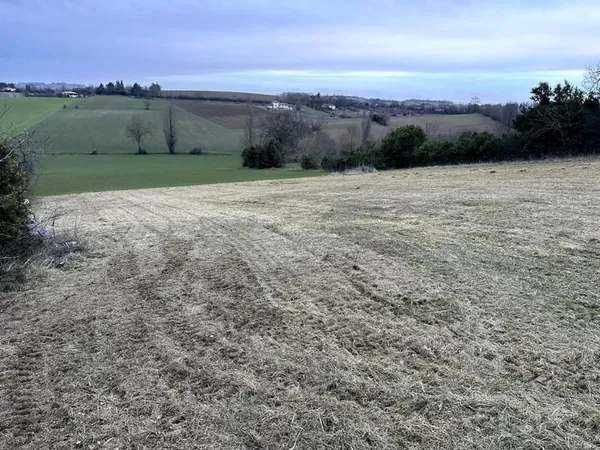 Terrain de grande superficie, divisible
