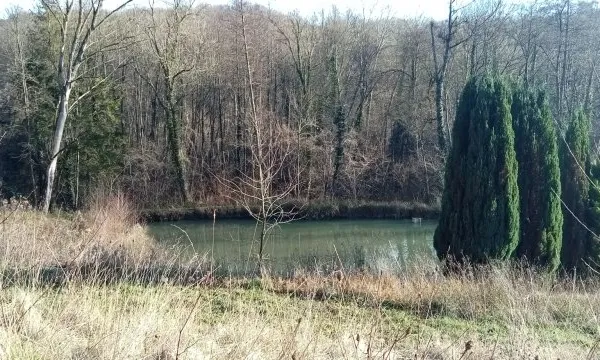 Terrain 3130 m²