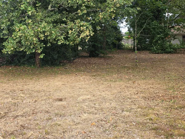 Terrain 732 m²