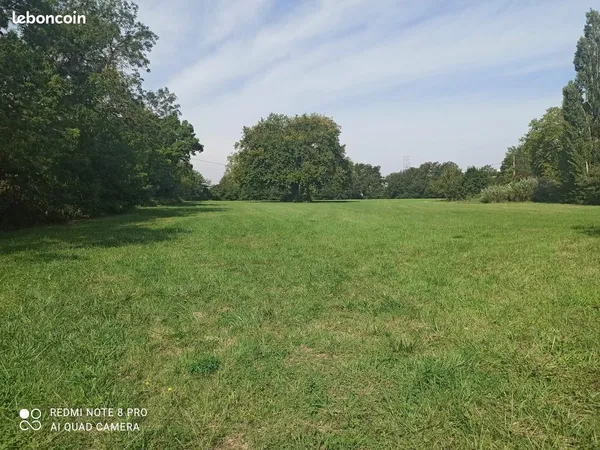 Terrain 8917 m² Revel