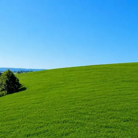 Terrain 1022 m² censeau