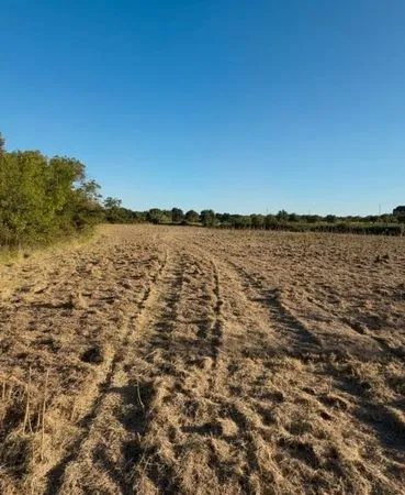 Terrain a vendre loupian