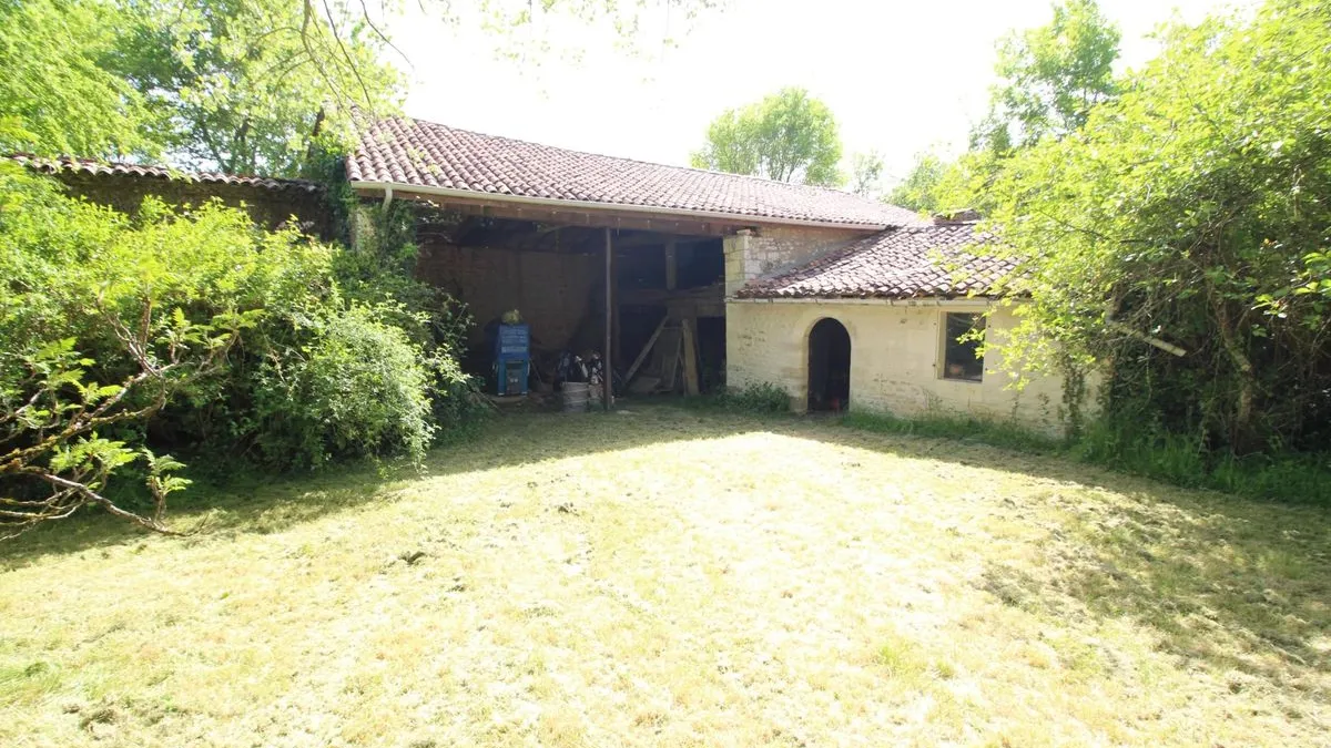 Photo 15