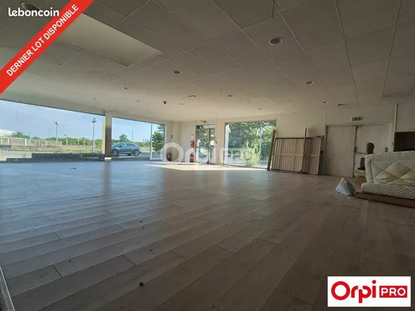 Local commercial 291 m²