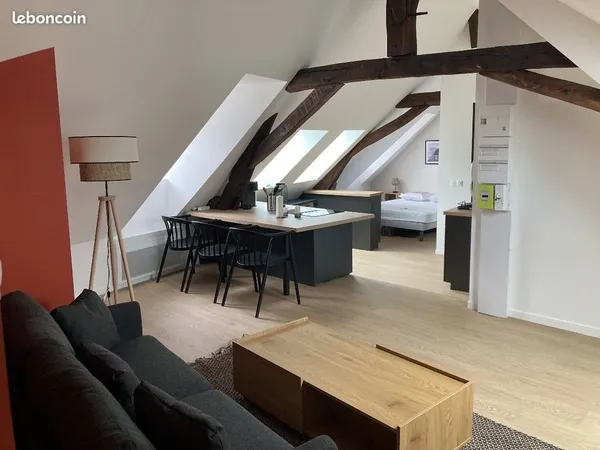 Loft 1 pièce 30 m²