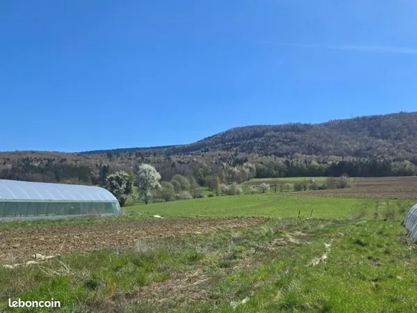 Terrain 1 136 m² Wolschwiller