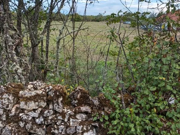 Terrain constructible