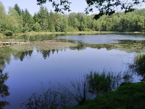 Etang 13000M²