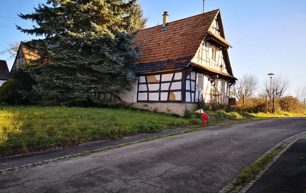 Photo 3